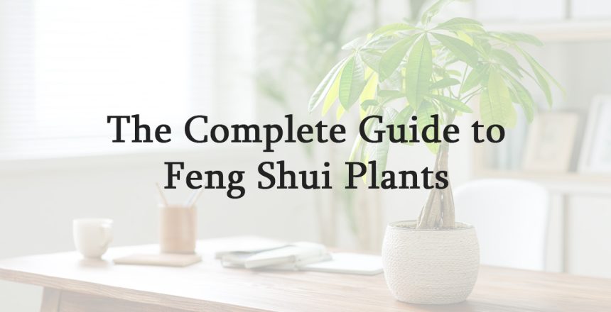 The Complete Guide to Feng Shui Plants